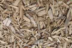 biomass boilers White Lee